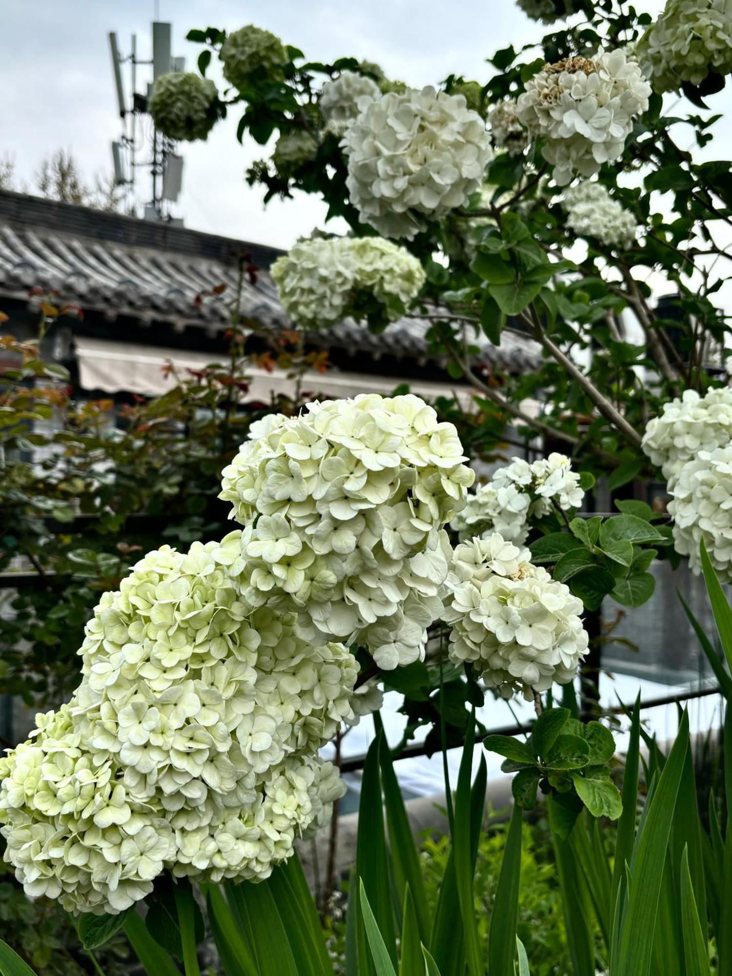 Honglu Garden Hotel Xi'An Bell And Drum Tower Huimin Street Store Exteriér fotografie